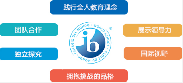 3a48d586f3f55802c407bb74c1a5119c